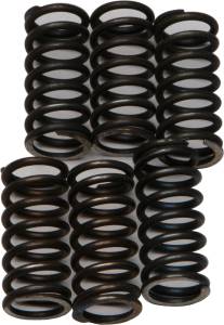 CLUTCH SPRINGS CSK200