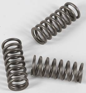 CLUTCH SPRINGS CSK202