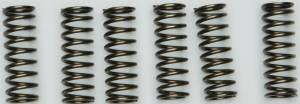 CLUTCH SPRINGS CSK205