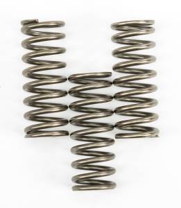 CLUTCH SPRINGS CSK239