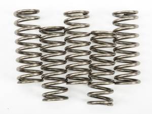 CLUTCH SPRINGS CSK247