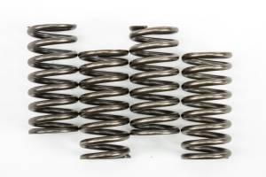 CLUTCH SPRINGS CSK248