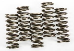 CLUTCH SPRINGS CSK254