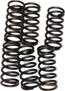 CLUTCH SPRINGS CSK38