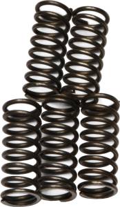 CLUTCH SPRINGS CSK66