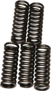 CLUTCH SPRINGS CSK73