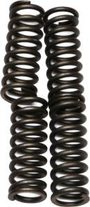 CLUTCH SPRINGS CSK83