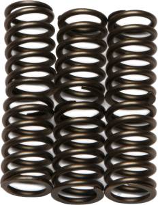 CLUTCH SPRINGS CSK88