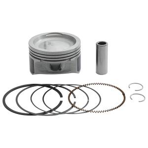 PISTON KIT CAST 79.95/STD 10.2:1 POL