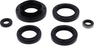 OIL SEAL SET