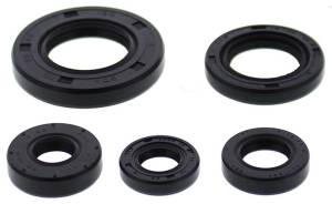 OIL SEAL SET