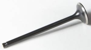 BLACK DIAMOND INTAKE VALVE