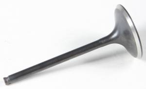 BLACK DIAMOND INTAKE VALVE