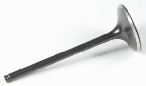 BLACK DIAMOND INTAKE VALVE