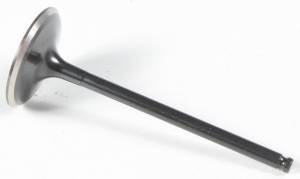 BLACK DIAMOND INTAKE VALVE