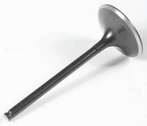 BLACK DIAMOND INTAKE VALVE