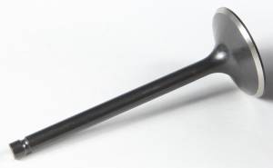 BLACK DIAMOND INTAKE VALVE