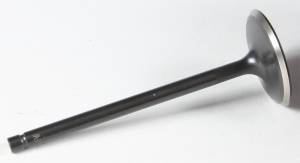 BLACK DIAMOND INTAKE VALVE