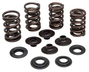 RACING VALVE SPRING KIT