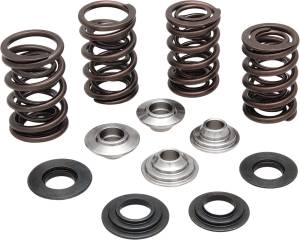 RACING VALVE SPRING KIT .550 LIFT