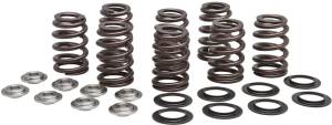 VALVE SPRING KIT BEEHIVE M8 TITANIUM