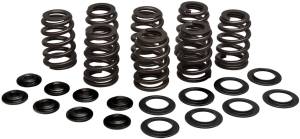 VALVE SPRING KIT BEEHIVE M8 STEEL