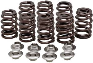 VALVE SPRING KIT BEEHIVE M8 HIGH LIFT TITANIUM