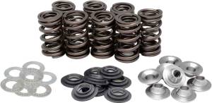 RACING VALVE SPRING KIT