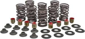 RACING VALVE SPRING KIT