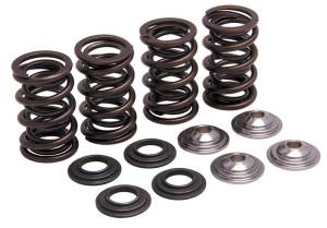 RACING VALVE SPRING KIT