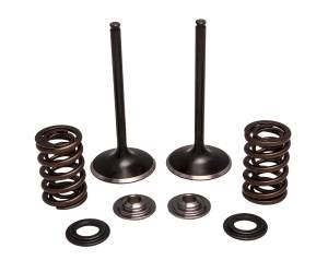 INTAKE VALVE/SPRING KIT STAINLESS STEEL