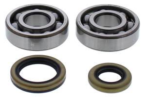 CRANKSHAFT BEARING / SEAL KIT GAS