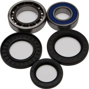 WHEEL BEARING & SEAL KIT