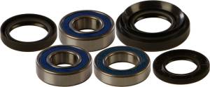 WHEEL BEARING & SEAL KIT