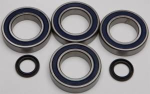 WHEEL BEARING & SEAL KIT