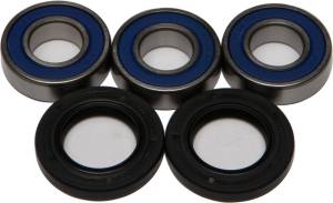 REAR WHEEL BEARING KIT