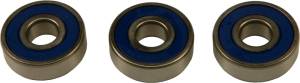 REAR WHEEL BEARING KIT