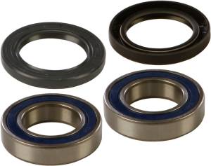 WHEEL BEARING & SEAL KIT