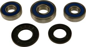 REAR WHEEL BEARING KIT