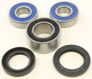 WHEEL BEARING & SEAL KIT