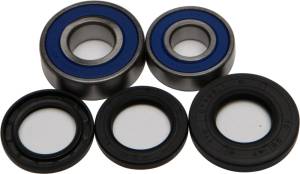 WHEEL BEARING & SEAL KIT