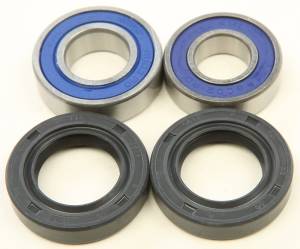 WHEEL BEARING & SEAL KIT