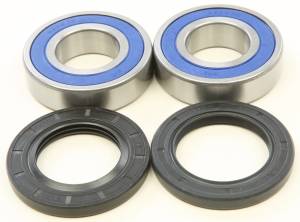 WHEEL BEARING & SEAL KIT