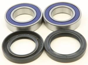 WHEEL BEARING & SEAL KIT