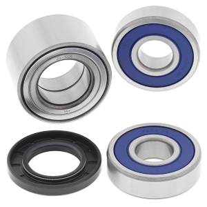 INDIAN REAR WHEEL BEARING KIT