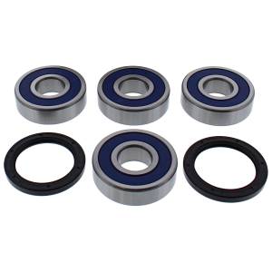 WHEEL BEARING & SEAL KIT