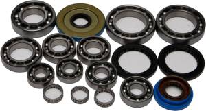 DIFFERENTIAL BEARING AND SEAL KIT