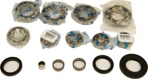 DIFFERENTIAL BEARING AND SEAL KIT