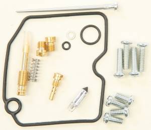 CARBURETOR REPAIR KIT