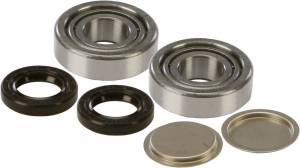 SWINGARM BEARING KIT